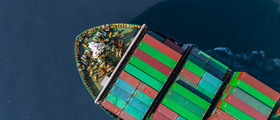 Opening Doors: How Trade Fuels Small Business Growth Worldwide