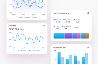 Our Most Used Shopify Reports as a Digital Marketing Agency