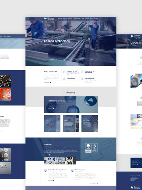 Calman Technology desktop website.