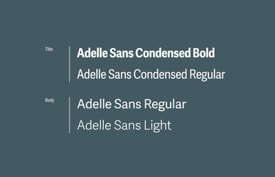 The font guidelines for the new Platinum Chemicals websites.