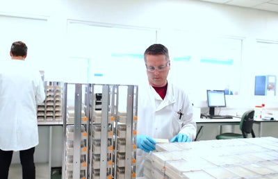 Two workers at Bioascent.