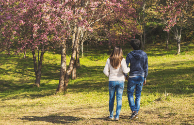 Two people walking through a forest.